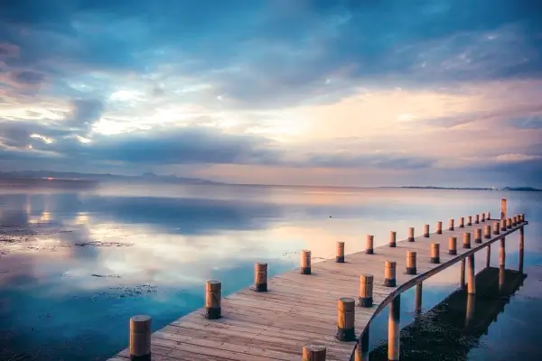 法律专业成考考研考什么