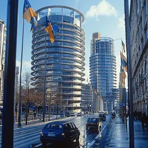 违反了什么什么法律