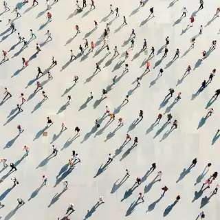 买卖关系受什么法律调整