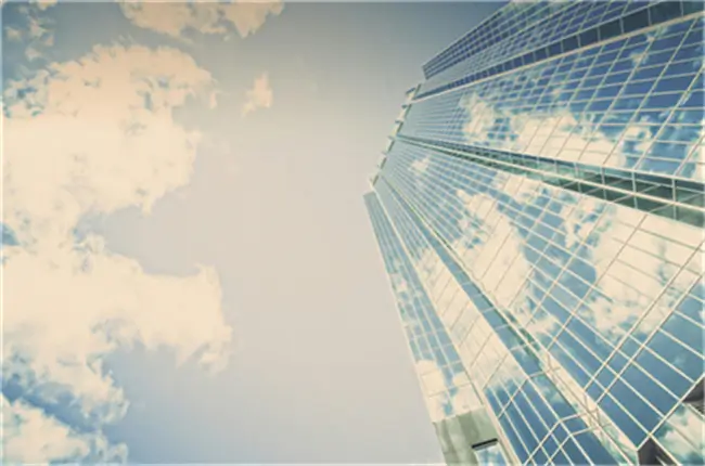 法律是由什么法律组成的