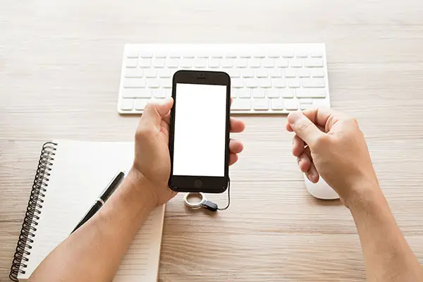 法律什么什么不可为